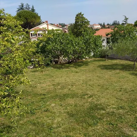 Avsec Apartmán *